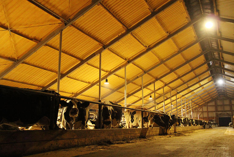 Bildbeschreibung, die über mehrere Zeilen geht, wird erst bei mouseover vollständig angezeigt (wenn Beschreibung außerhalb)